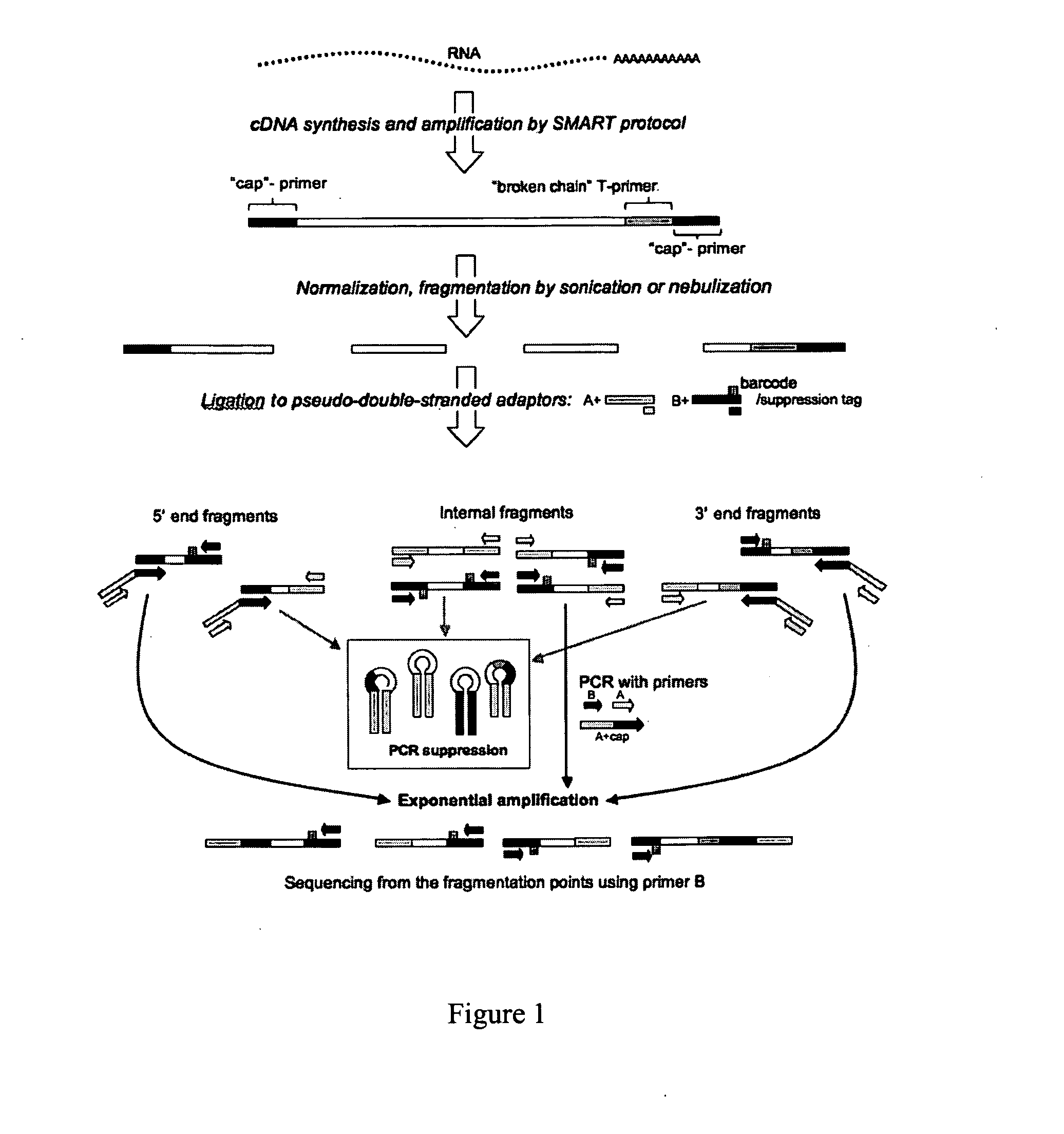 Methods and compositions for nucleic acid sequencing
