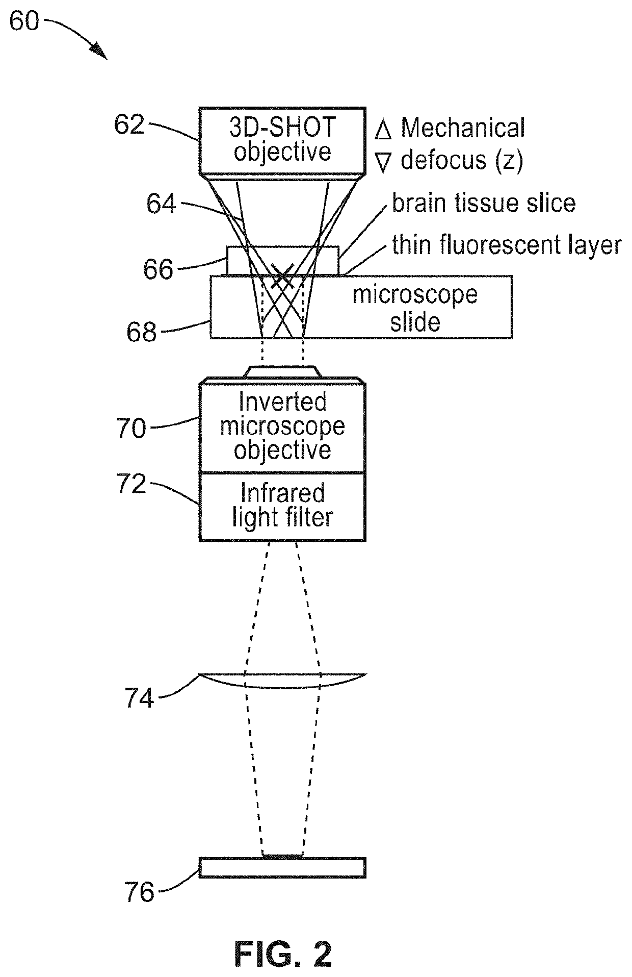 Three-dimensional scanless holographic optogenetics with temporal focusing