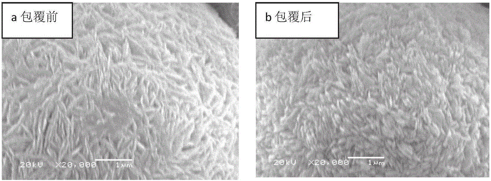 Lithium ion battery composite cathode material LiNi1-x-yMxAlyO2 with core-shell structure and preparation method of lithium ion battery composite cathode material LiNi1-x-yMxAlyO2