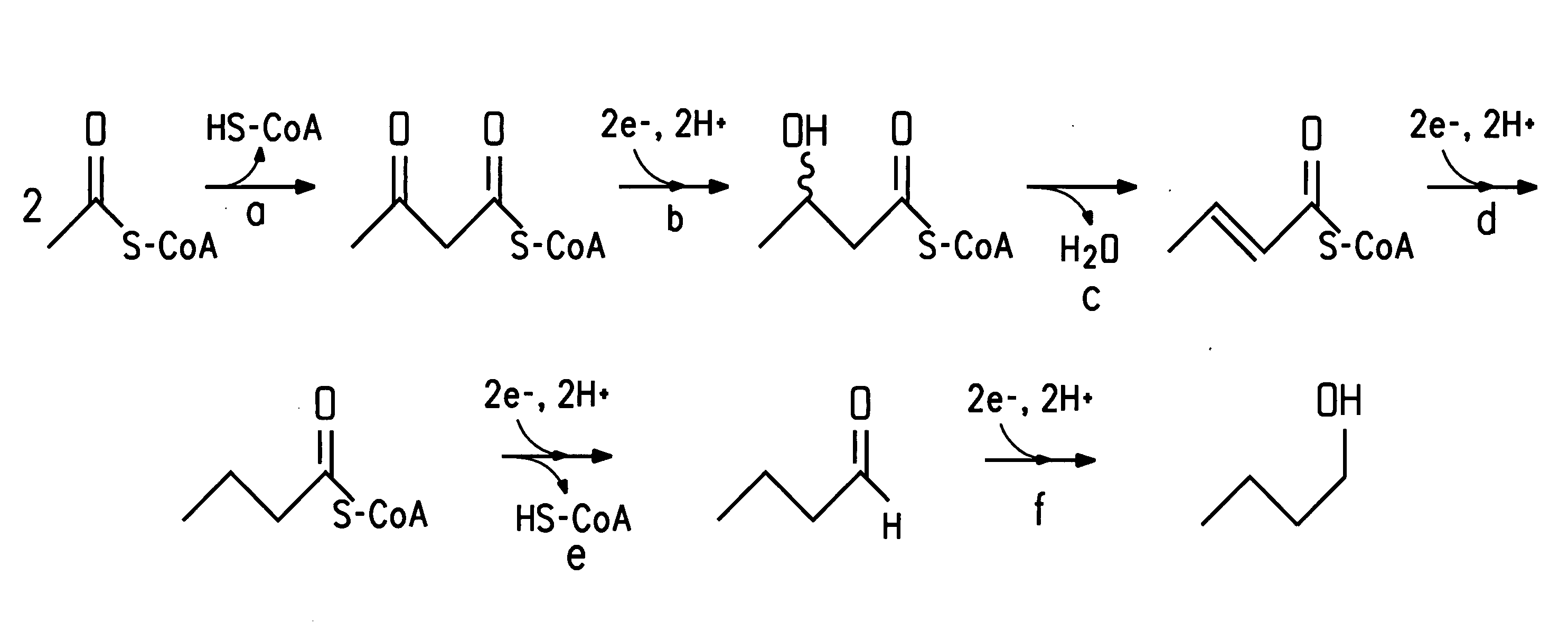 Fermentive production of four carbon alcohols
