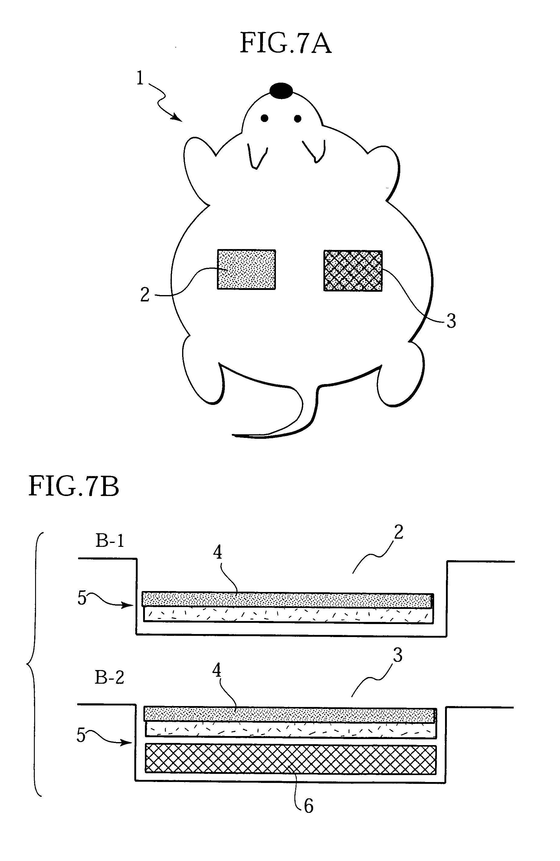 Skin decellularization method, acellular dermal matrix and production method therefore employing said decellularization method, and composite cultured skin employing said matrix