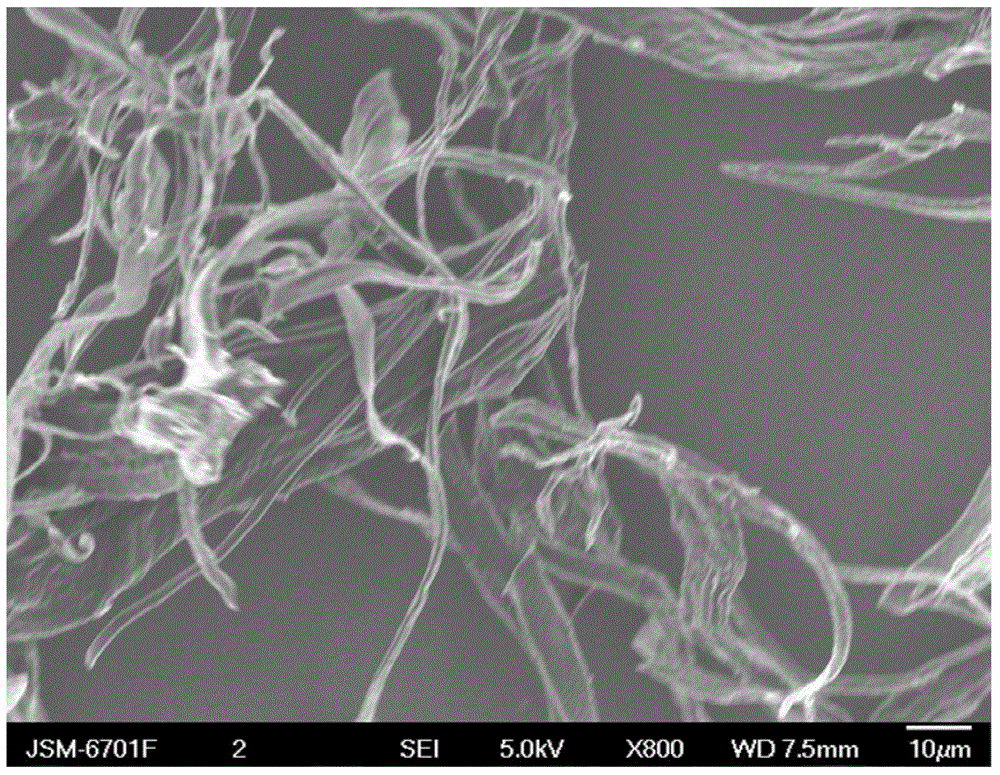 A nitrogen-doped porous carbon fiber material and its preparation method and application