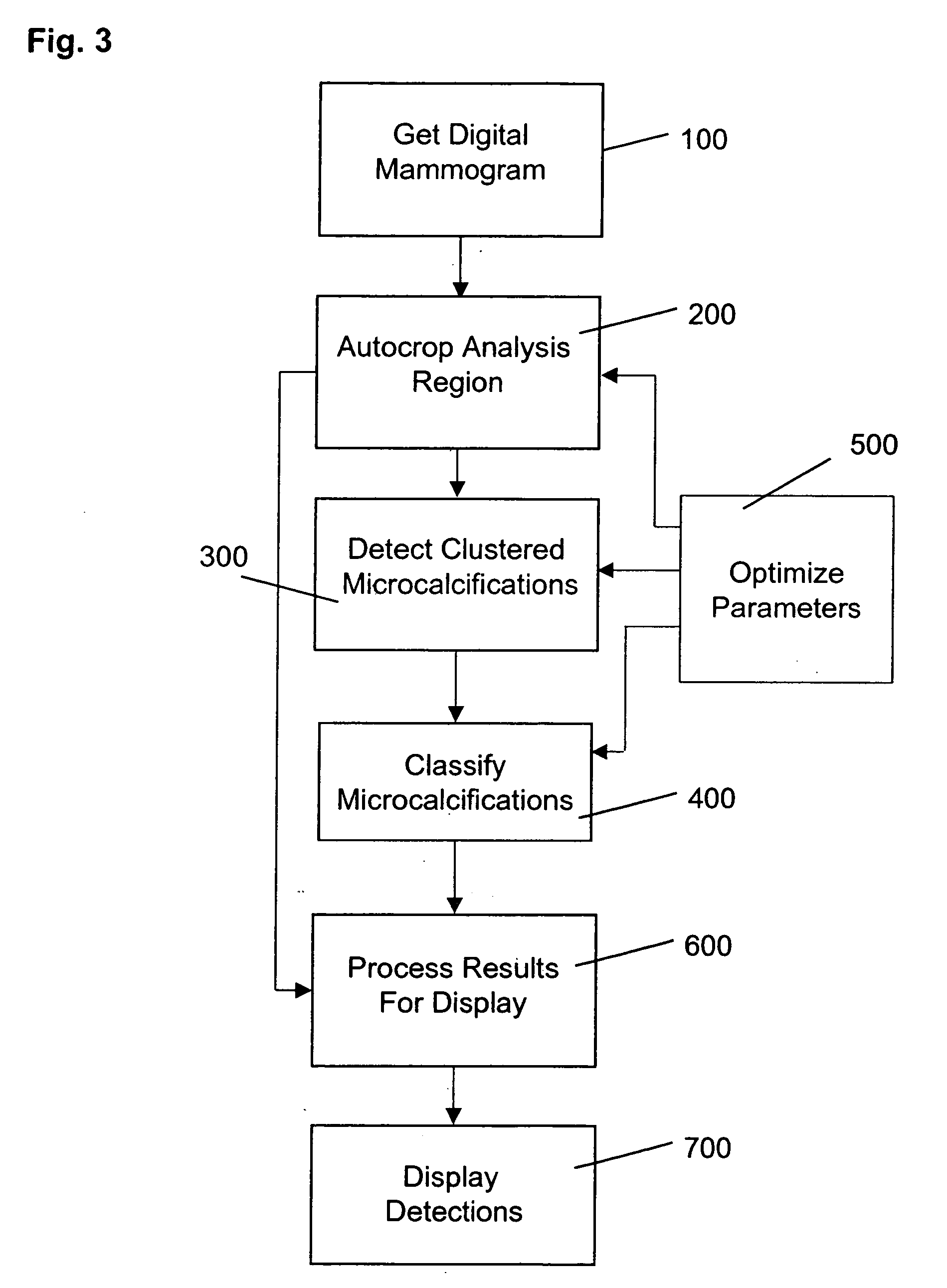 Use of computer-aided detection system outputs in clinical practice