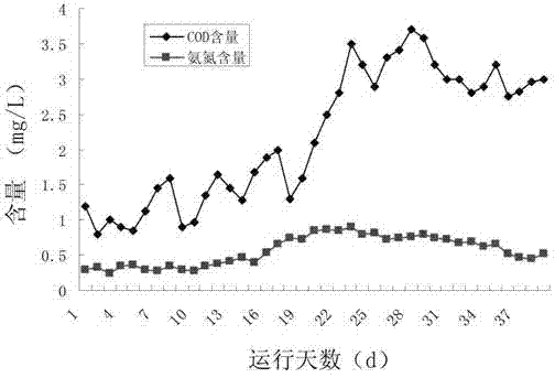 Aquatic compound microecologics and preparation method thereof