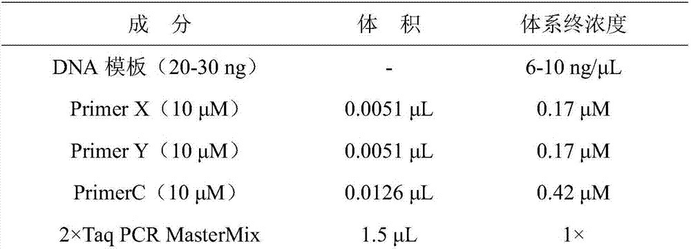 SNP functional molecular marker of lodging-resistant gene of japonica rice and application thereof