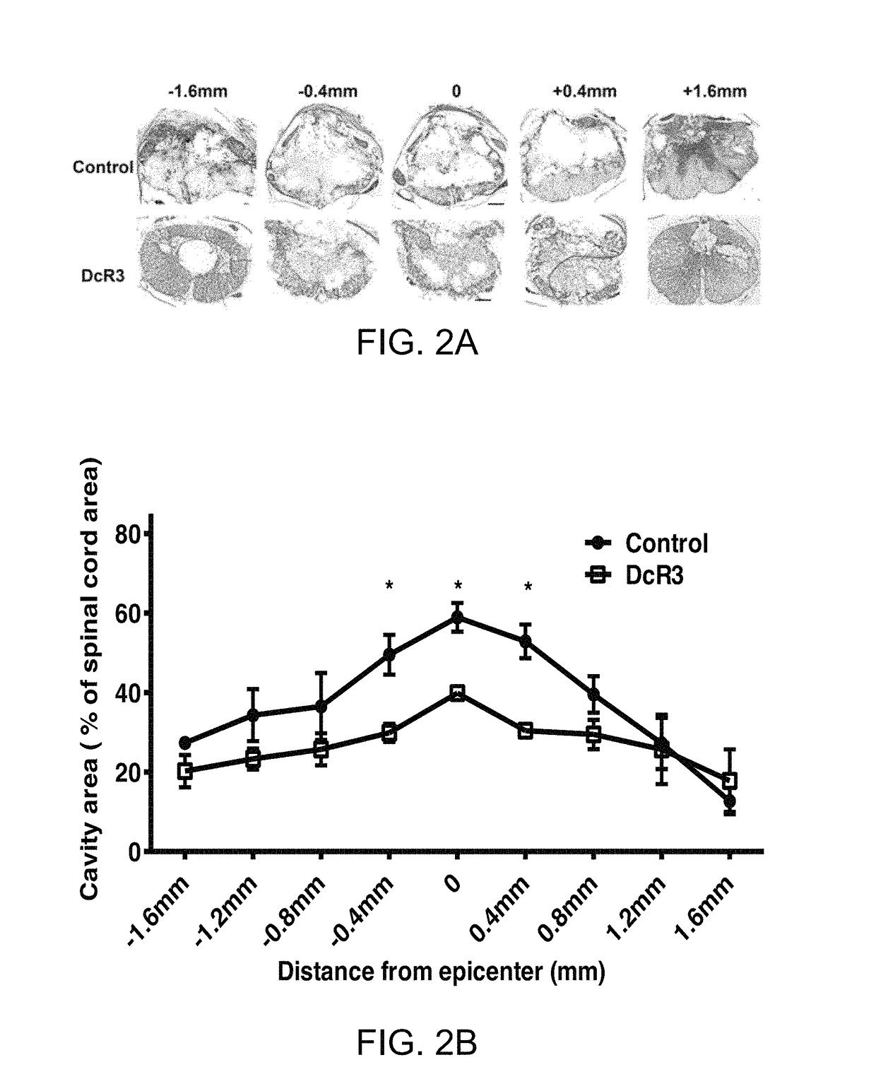 Recombinant decoy receptor 3 for treating spinal cord injury