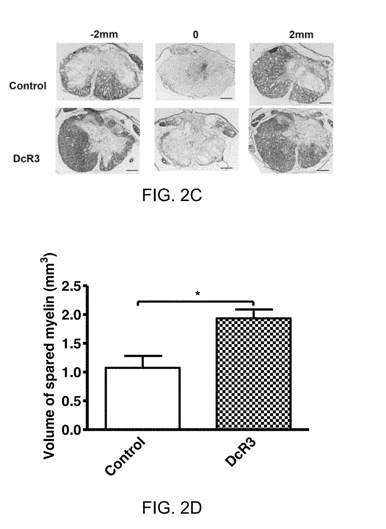 Recombinant decoy receptor 3 for treating spinal cord injury