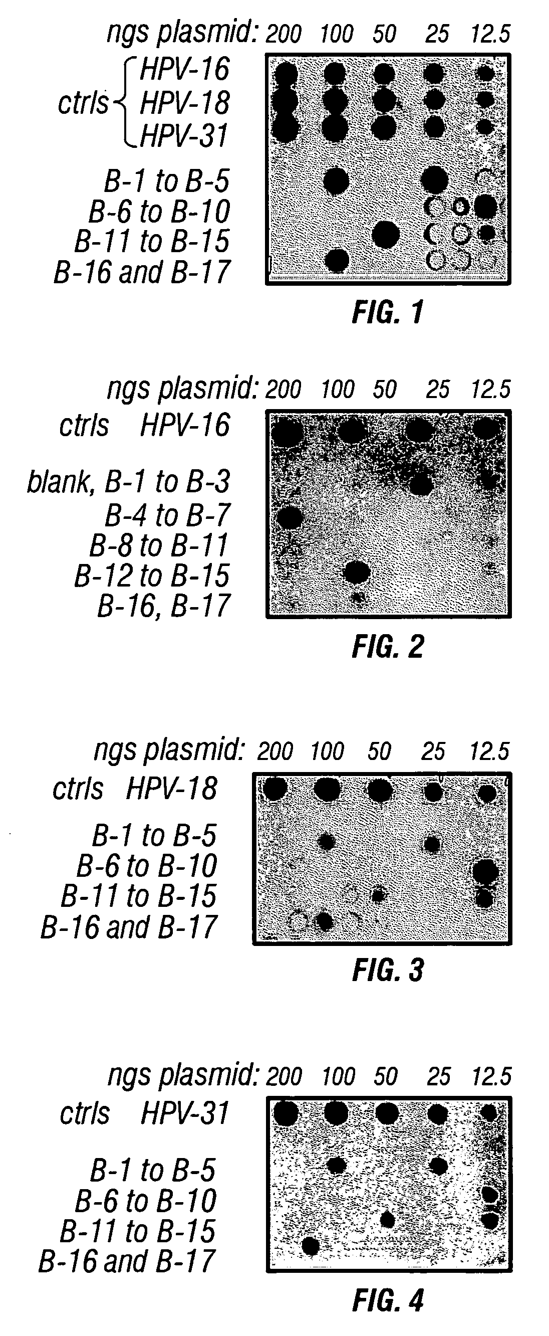 Compositions, methods and products comprising human papillomavirus for detecting and treating a cancer