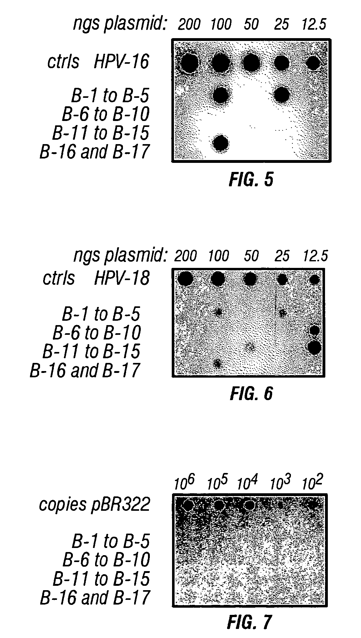 Compositions, methods and products comprising human papillomavirus for detecting and treating a cancer