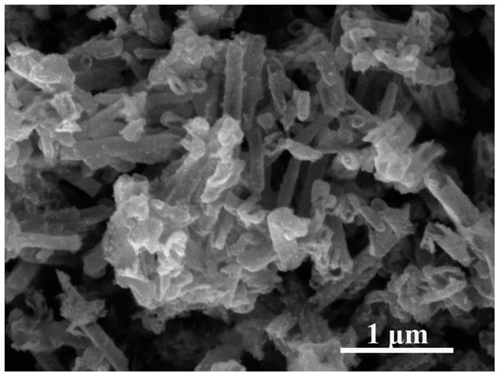 Bifunctional oxygen electrocatalyst taking hollow carbon nanotube as carrier, preparation and application