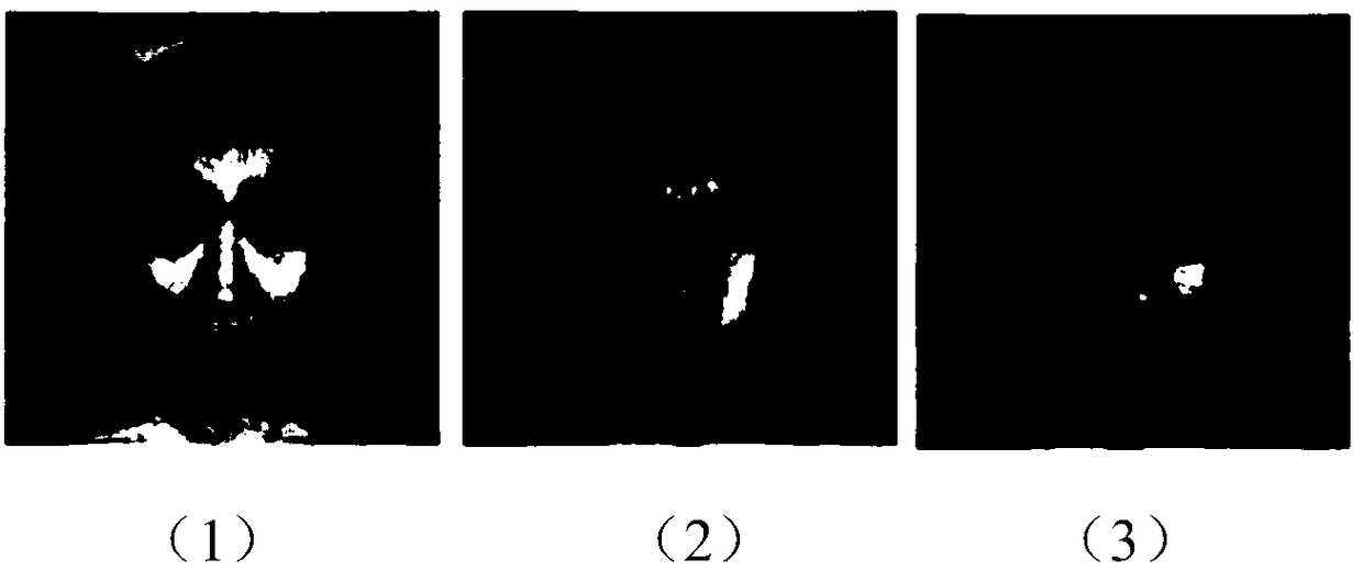 An intelligent terminal face unlocking method combined with expression recognition