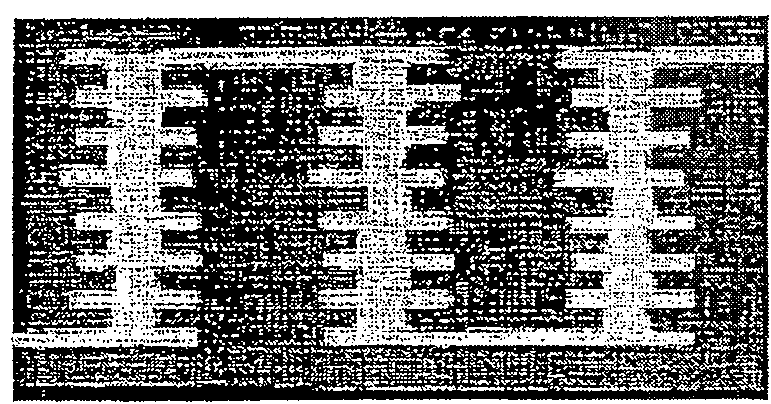 Multilayer printed wiring board