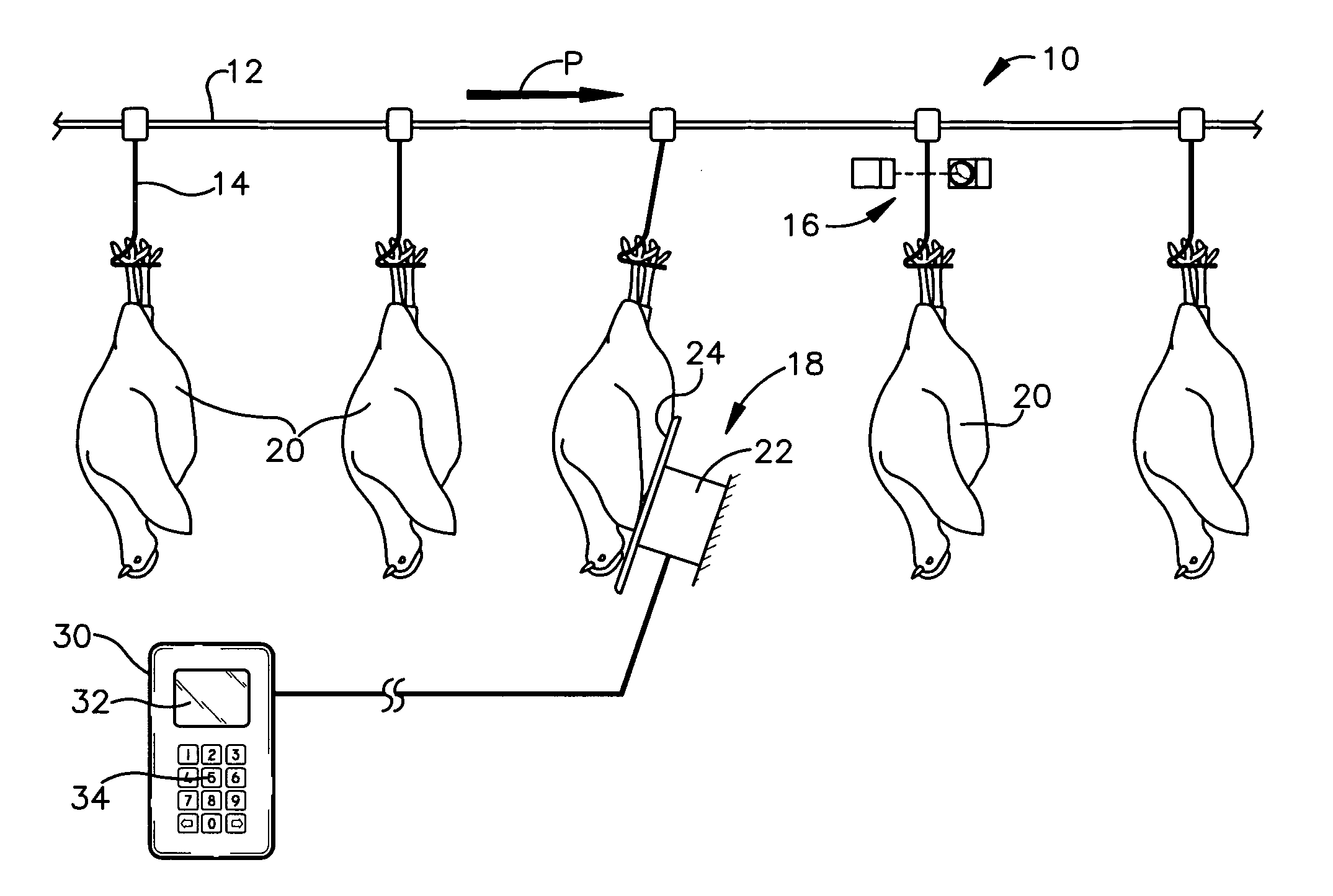 Overhead poultry conveying and counting system