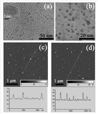 Method for preparing bicolor graphene quantum dots through microwave radiation manner