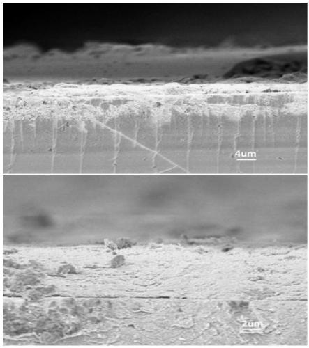 A kind of preparation method of double-layer electrode and its application