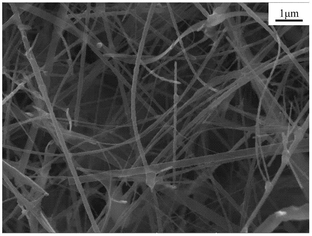 SiC nanowire toughened high temperature ablation resistant ZrB2-SiC composite coating and preparation method thereof