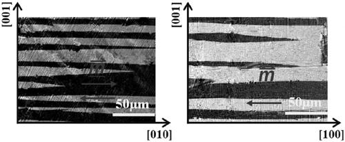 A method of controlling the magnetic domain of fega magnetostrictive alloy by unidirectional solidification stress