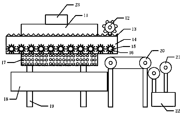 Flavor Flammulina velutipes processing device