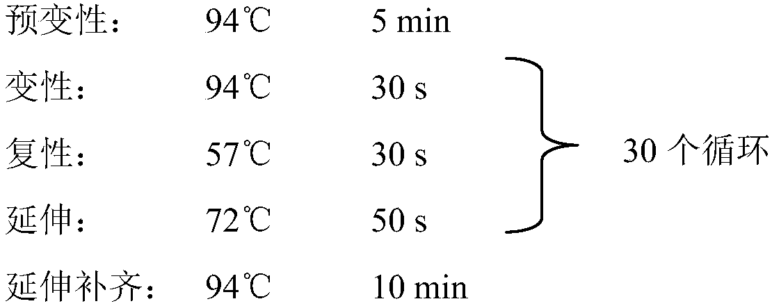 Marine aspergillus derived oxa-anthraquinone compound, preparation method thereof and application in preparation of antineoplastic agent