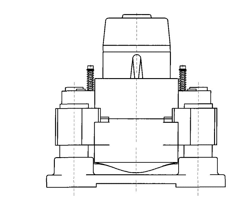 Disc spring loading type hydraulic disc brake