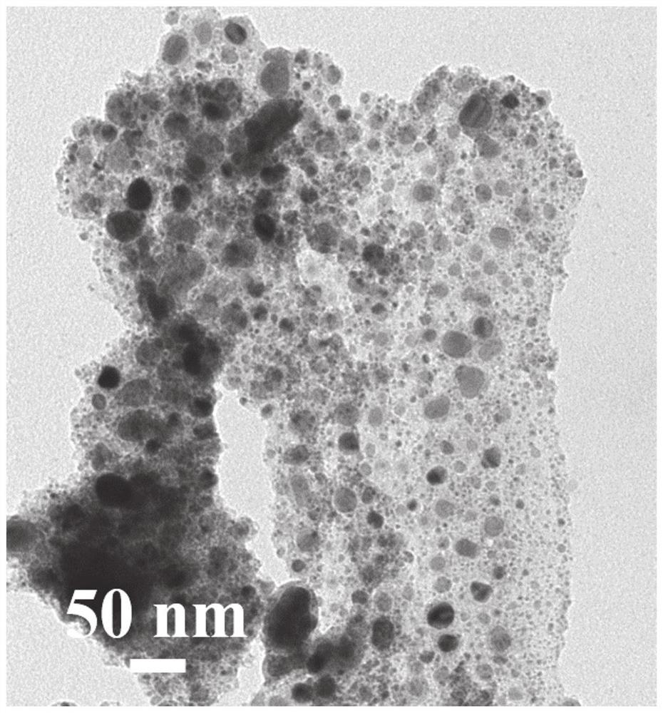 Cobalt phosphide molybdenum particle modified nitrogen-phosphorus co-doped carbon composite material and preparation method and application thereof