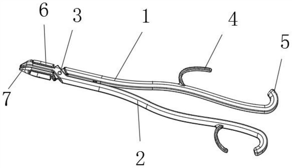 Illuminable cheek-through dental forceps for dental department