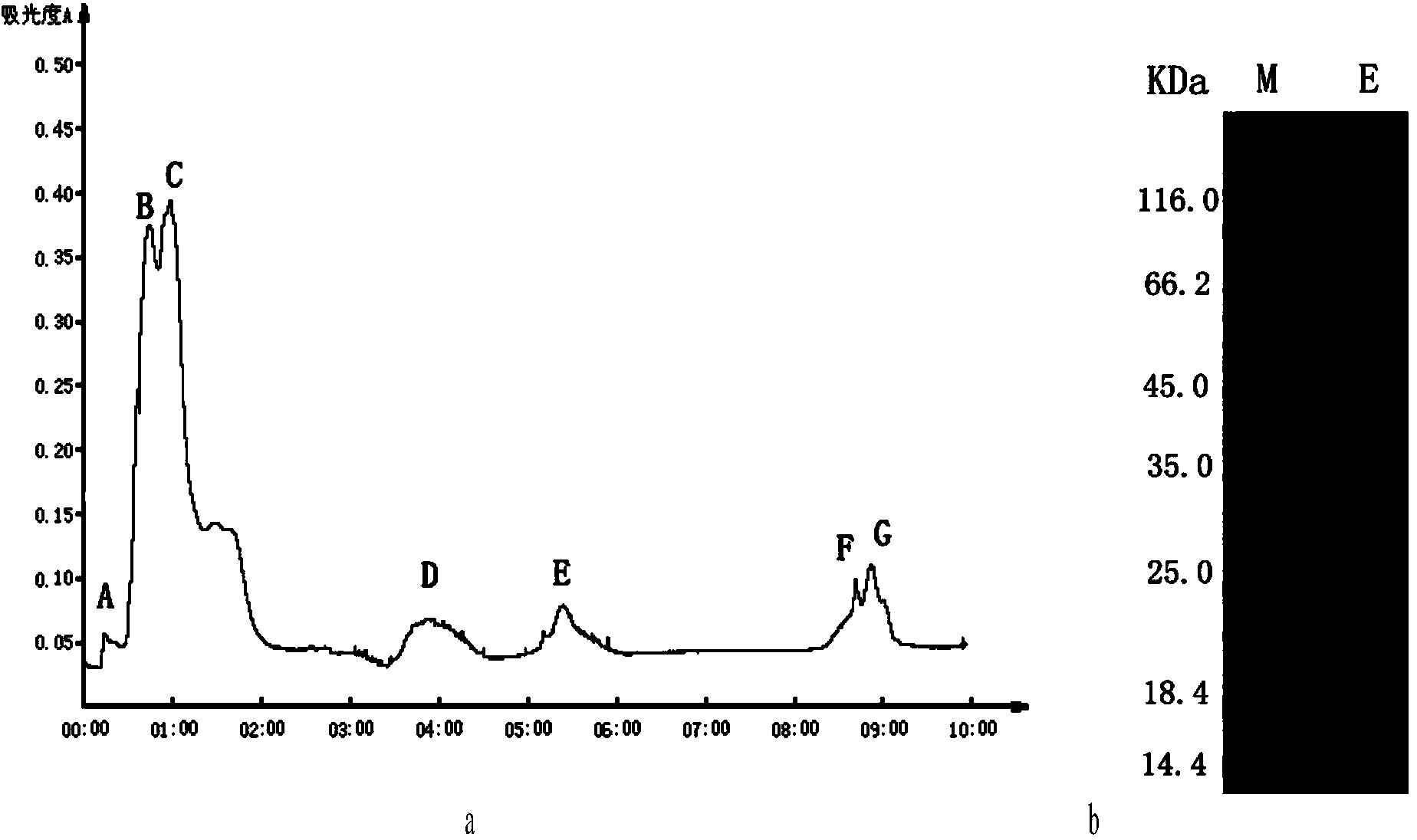 Method for extracting toxin protein from white cyanea tentacles