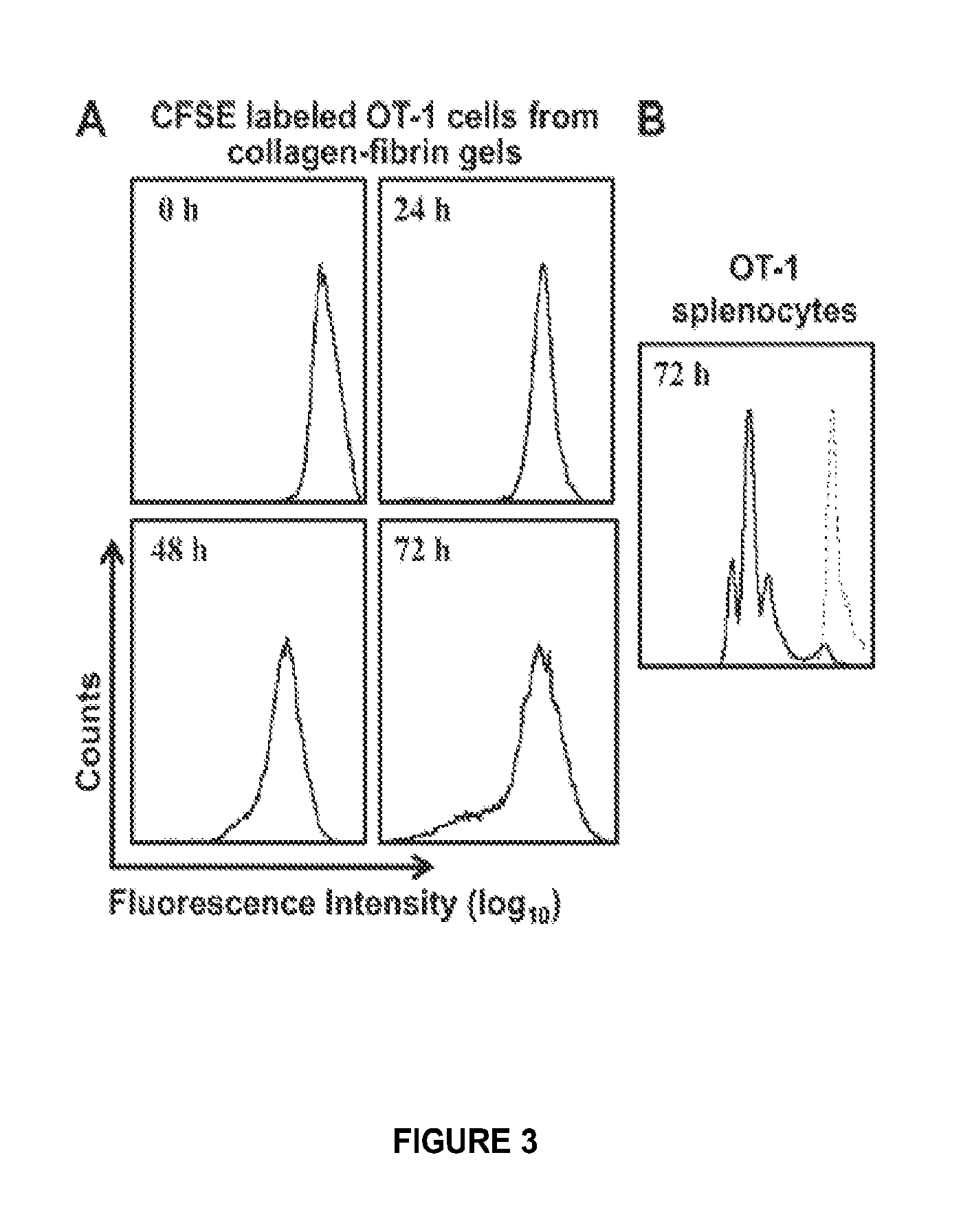 Methods, compositions, and assays for determining the effect of an immune cell on a cell from an infectious or neoplastic disease