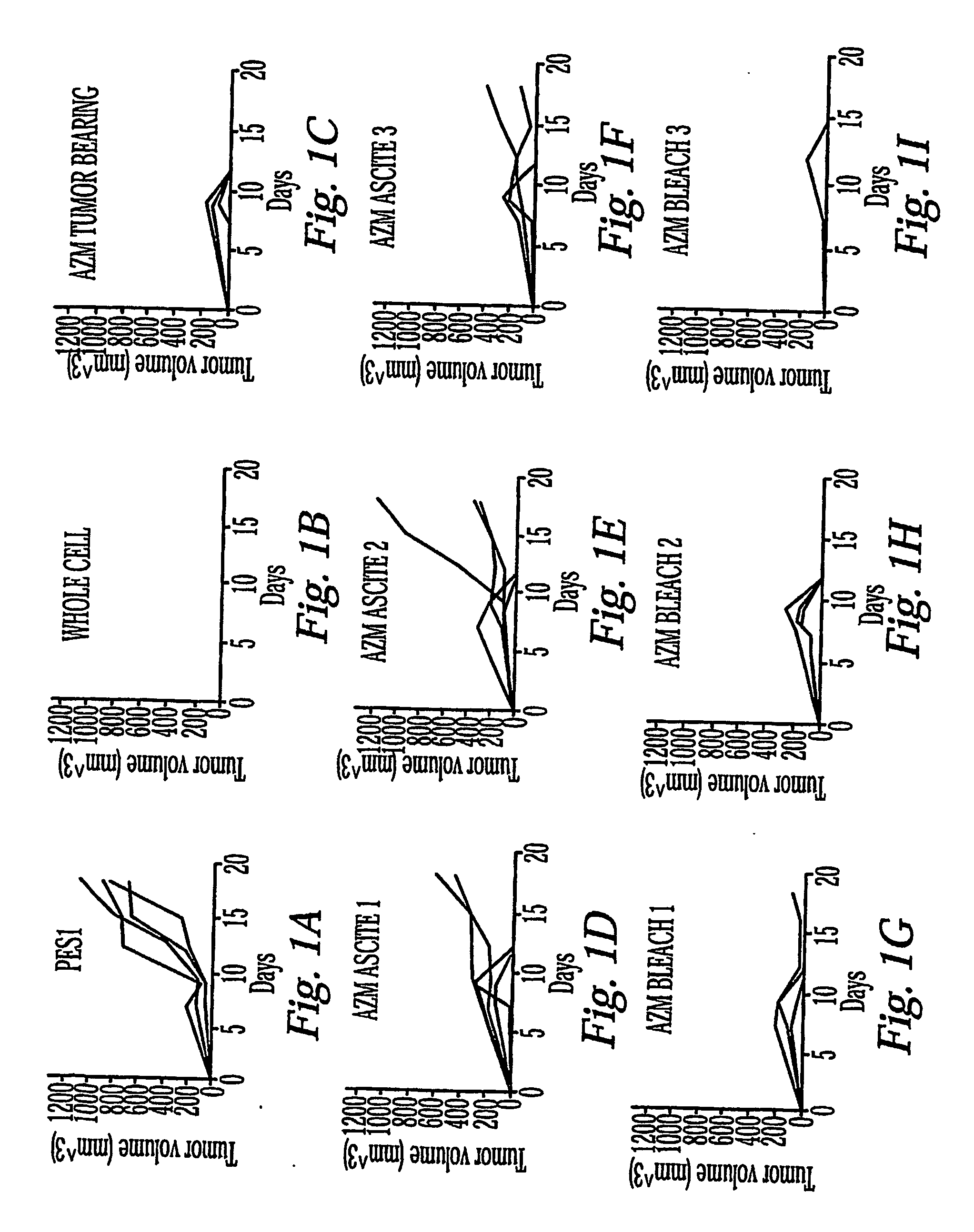 Methods and compositions for the treatment of cancer and infectious disease using alpha (2) macroglobulin-antigenic molecule complexes