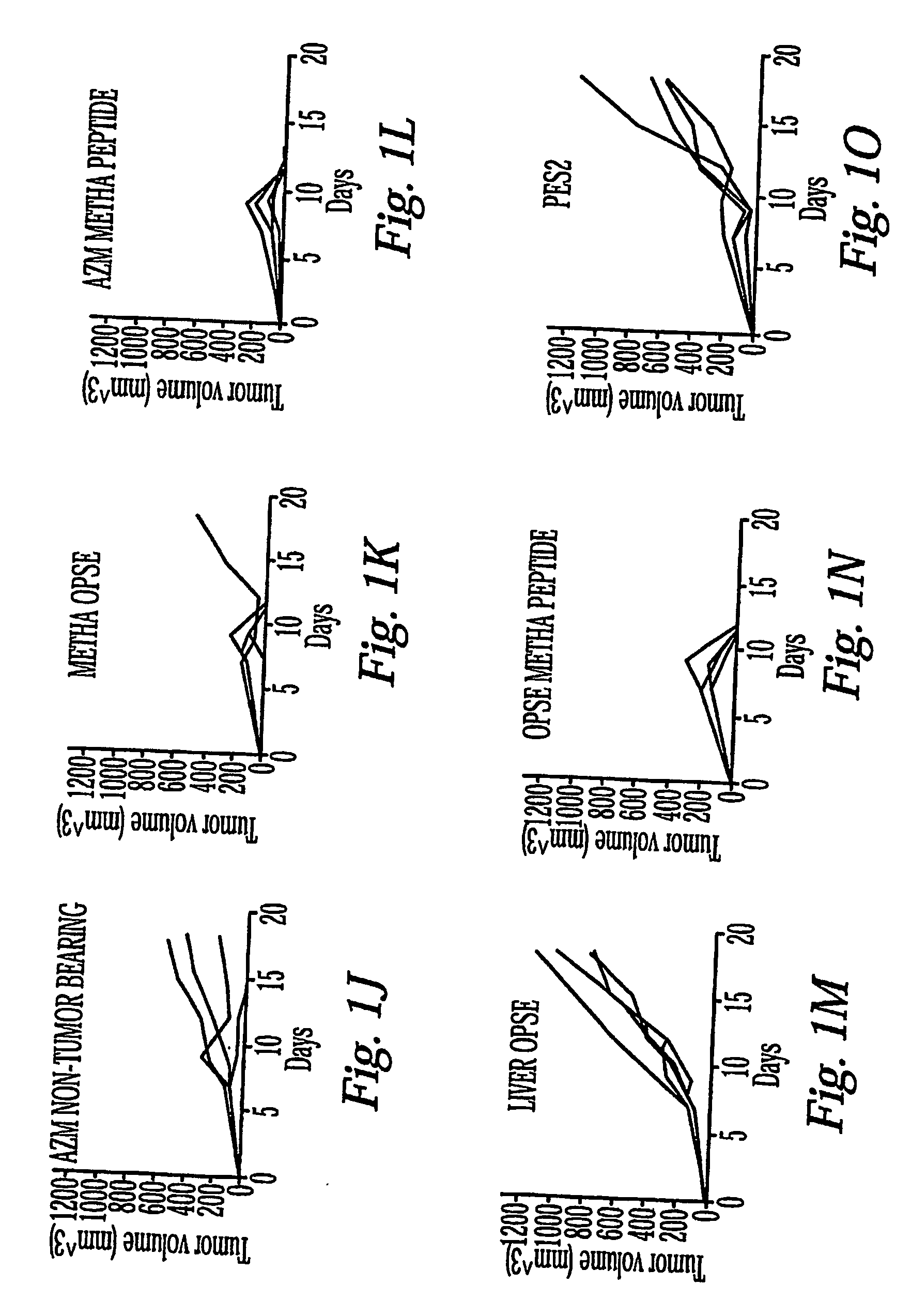 Methods and compositions for the treatment of cancer and infectious disease using alpha (2) macroglobulin-antigenic molecule complexes