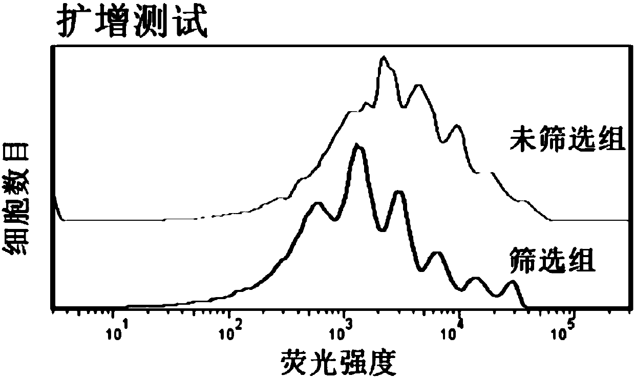 Screening method for T cells with high antitumor activity and application of screening method