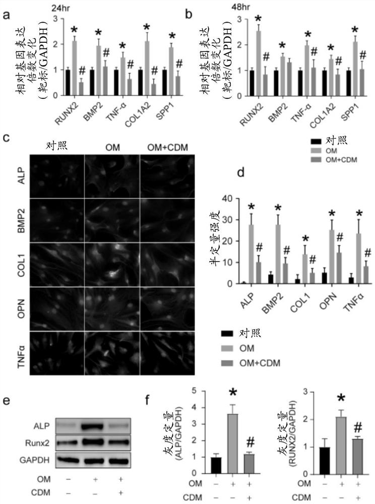 Use of cardamonin in the treatment of aortic valve calcification