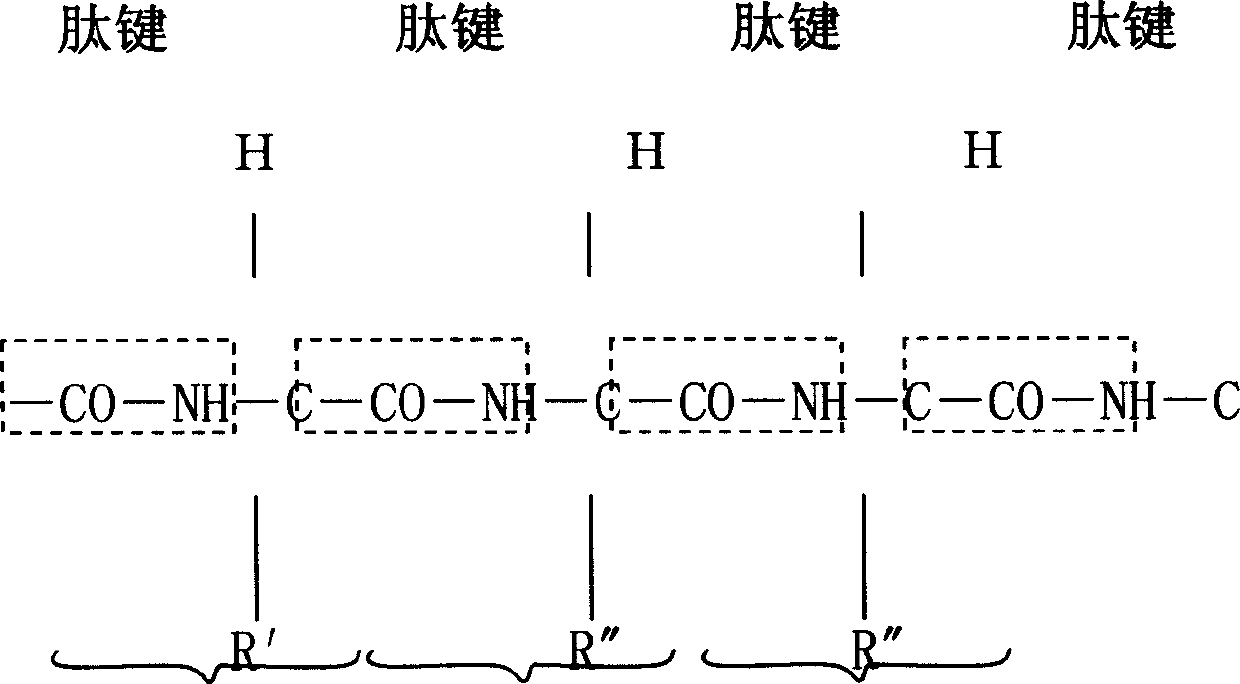 Process for preparing nano active compound by extracting maize germ and product made therefrom