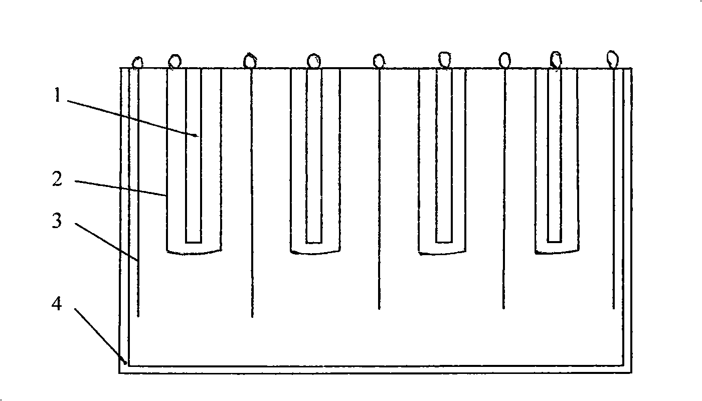 Electrochemical separation and recovery method for gold and silver in copper matte