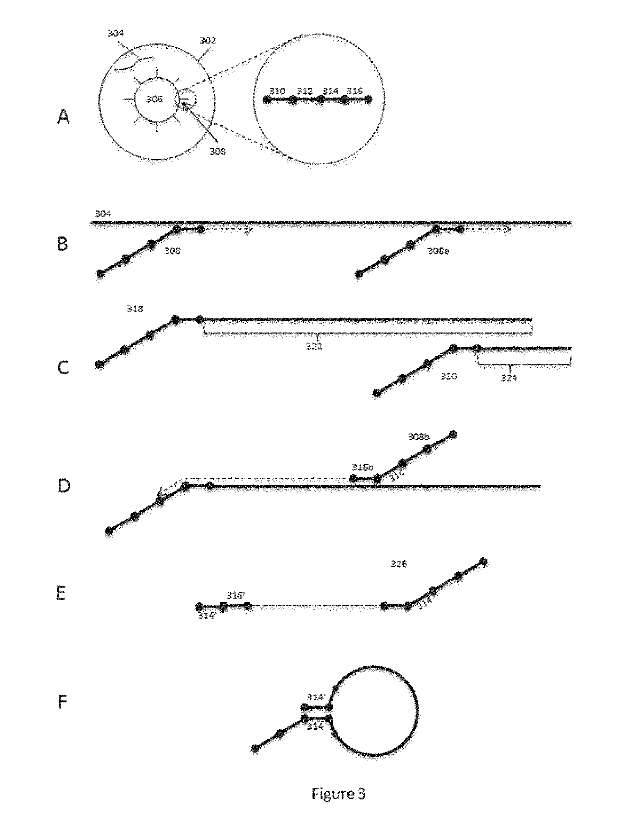 Methods and systems for processing polynucleotides