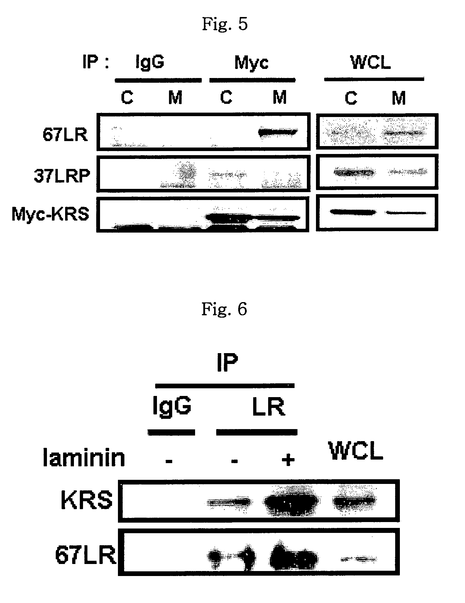Method for controlling cancer metastasis or cancer cell migration by modulating the cellular level of lysyl tRNA synthetase