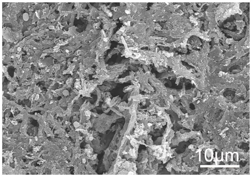 Synthesis of iron-supported nitrogen-doped porous carbon materials with excellent electrocatalytic oxygen reduction performance