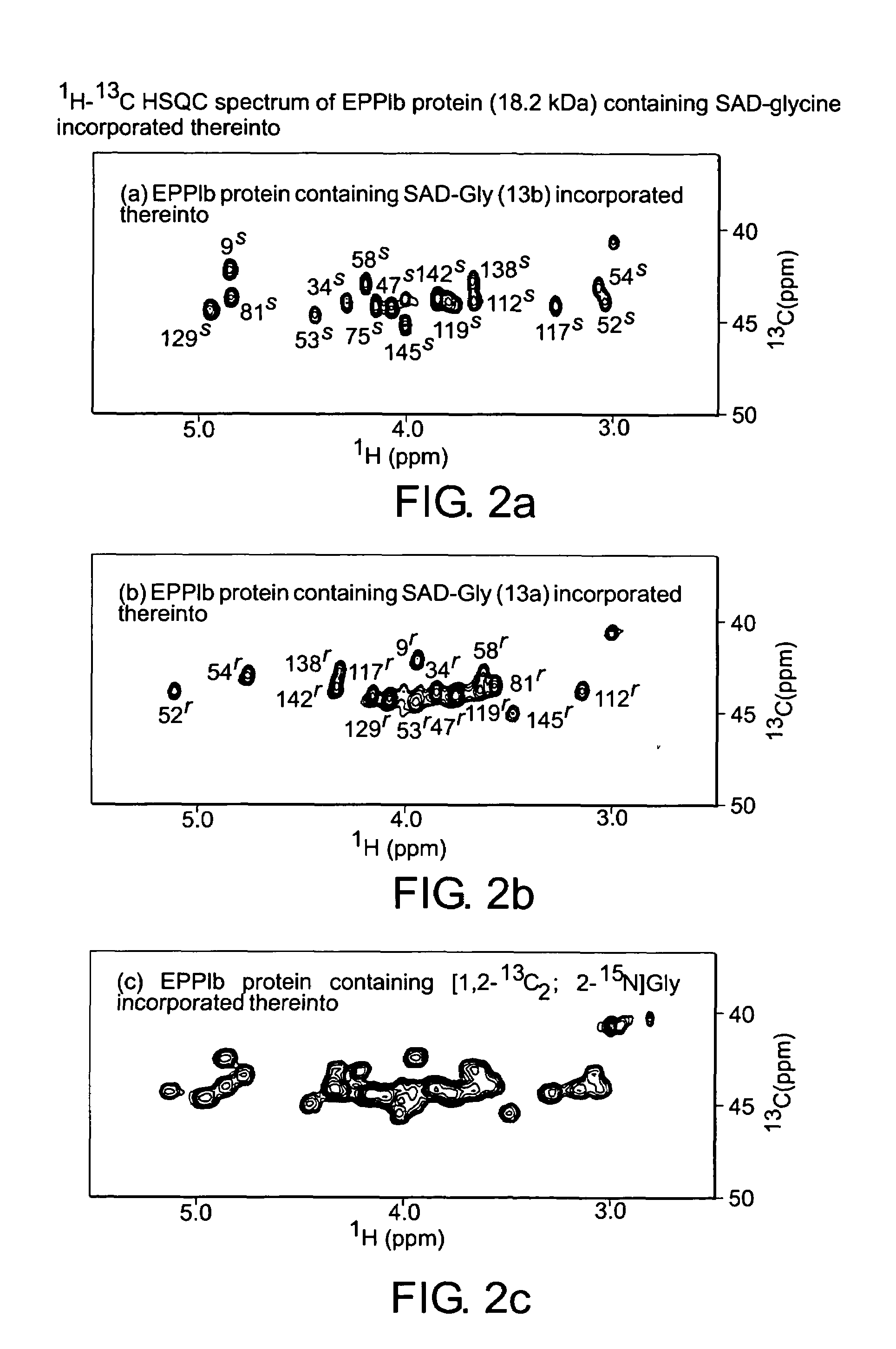 Stable isotope-labeled amino acid and method for incorporating same into target protein