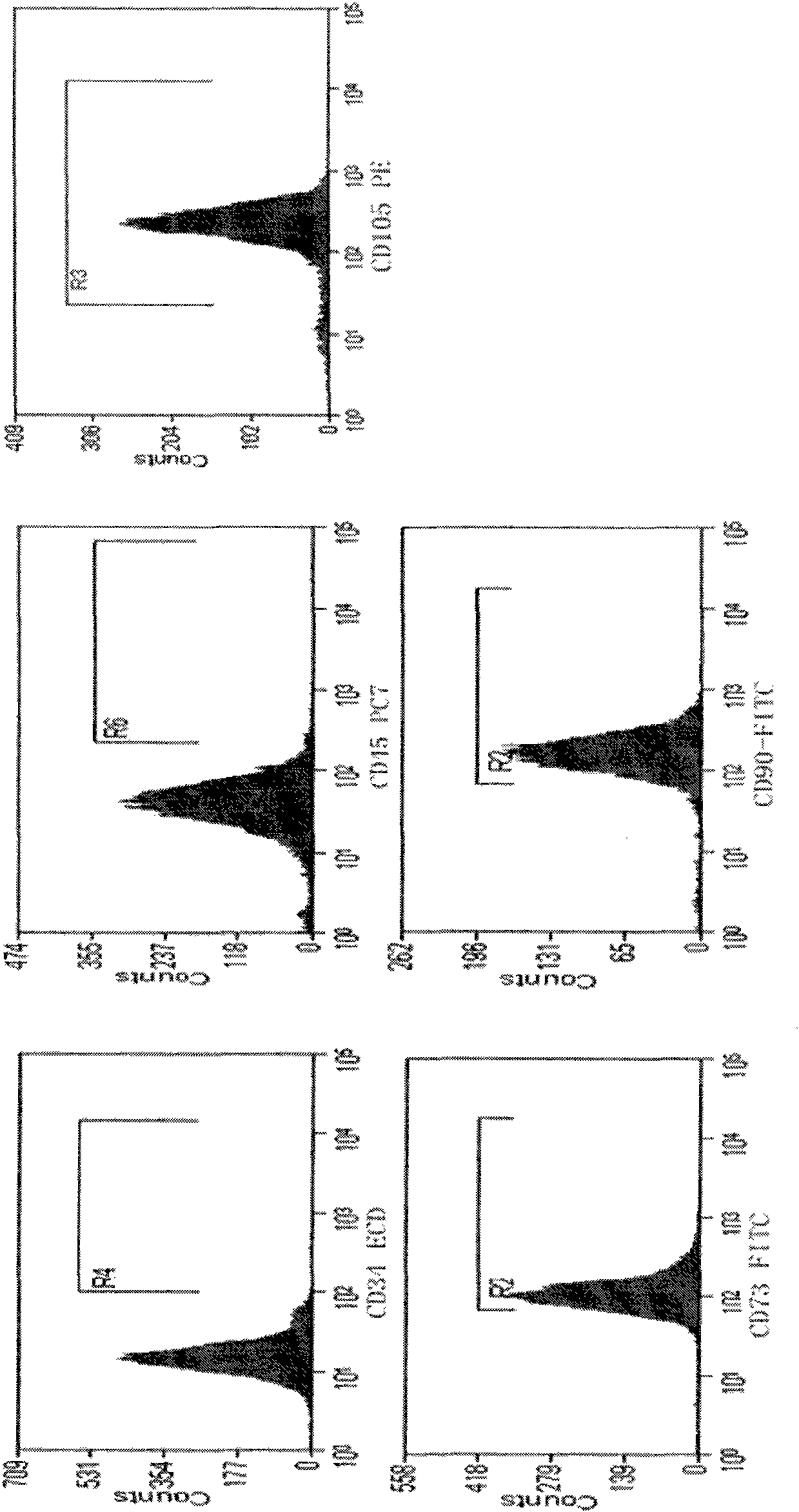 Method for isolating and culturing human olfactory mucosa mesenchymal stem cells