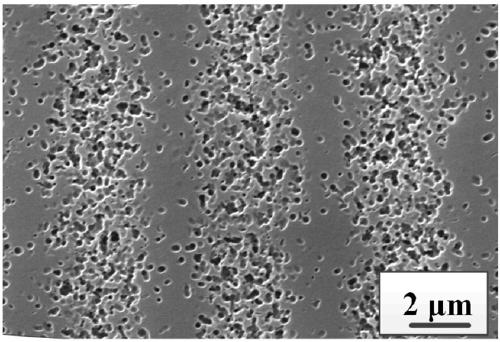 Rare earth ion-doped PTR (Photo-Thermo-Refractive) laser glass ceramic and preparation method thereof