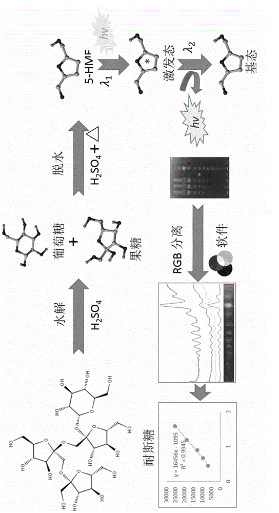 Method For Determining Nystose Content Of Morinda Officinalis Roots Eureka Patsnap Develop