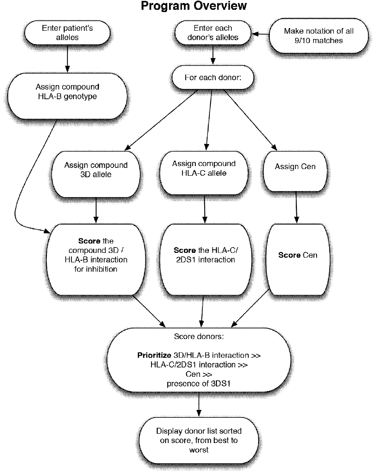 Methods and algorithm for selecting allogenic hematopoietic cell donor based on kir and HLA genotypes