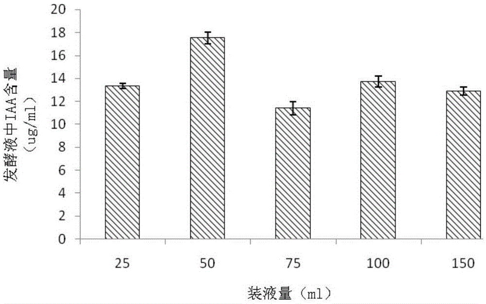 A kind of bacillus megaterium and its application