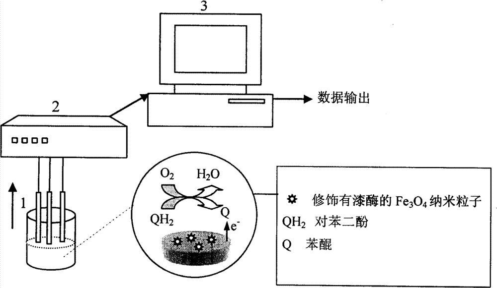 On-line detection method and detection system of hydroquinone in stockpile manure