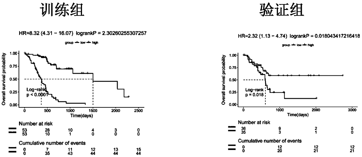 Lnc RNA model for prediction of postoperative survival of pancreatic cancer and detection kit