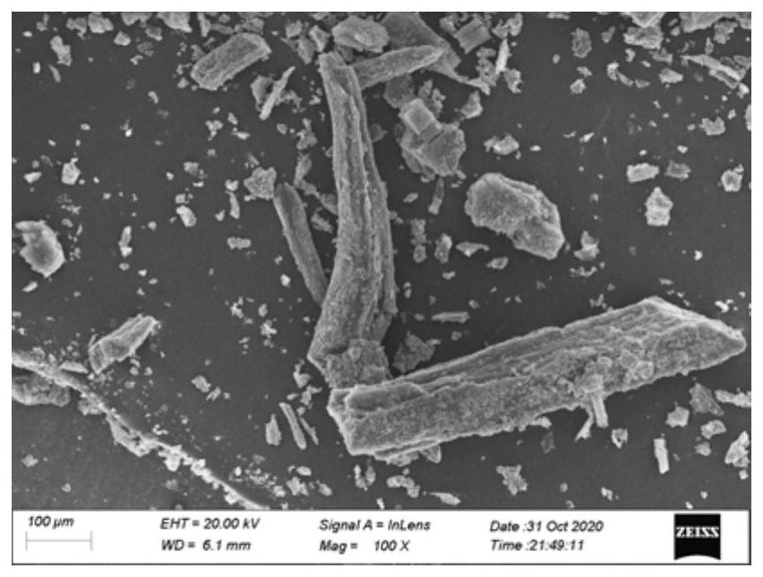 Preparation method of porous carbon photo-thermal material with specific morphology and multi-fractal structure