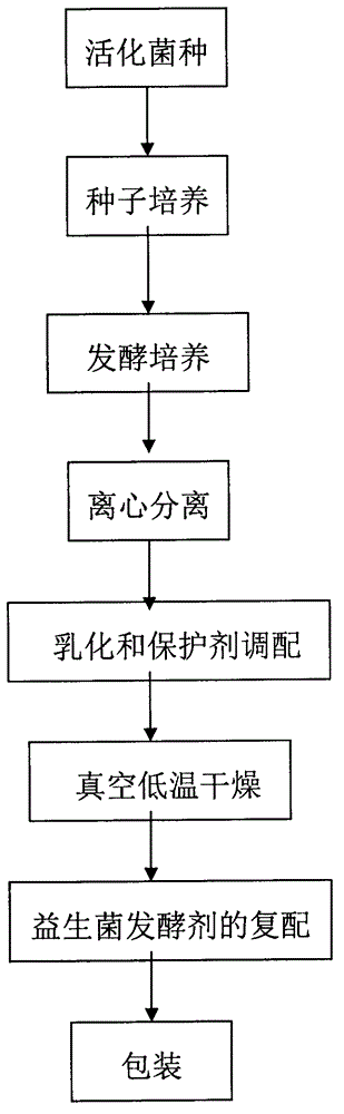 Compound probiotics as well as production process and application thereof to leavening agent