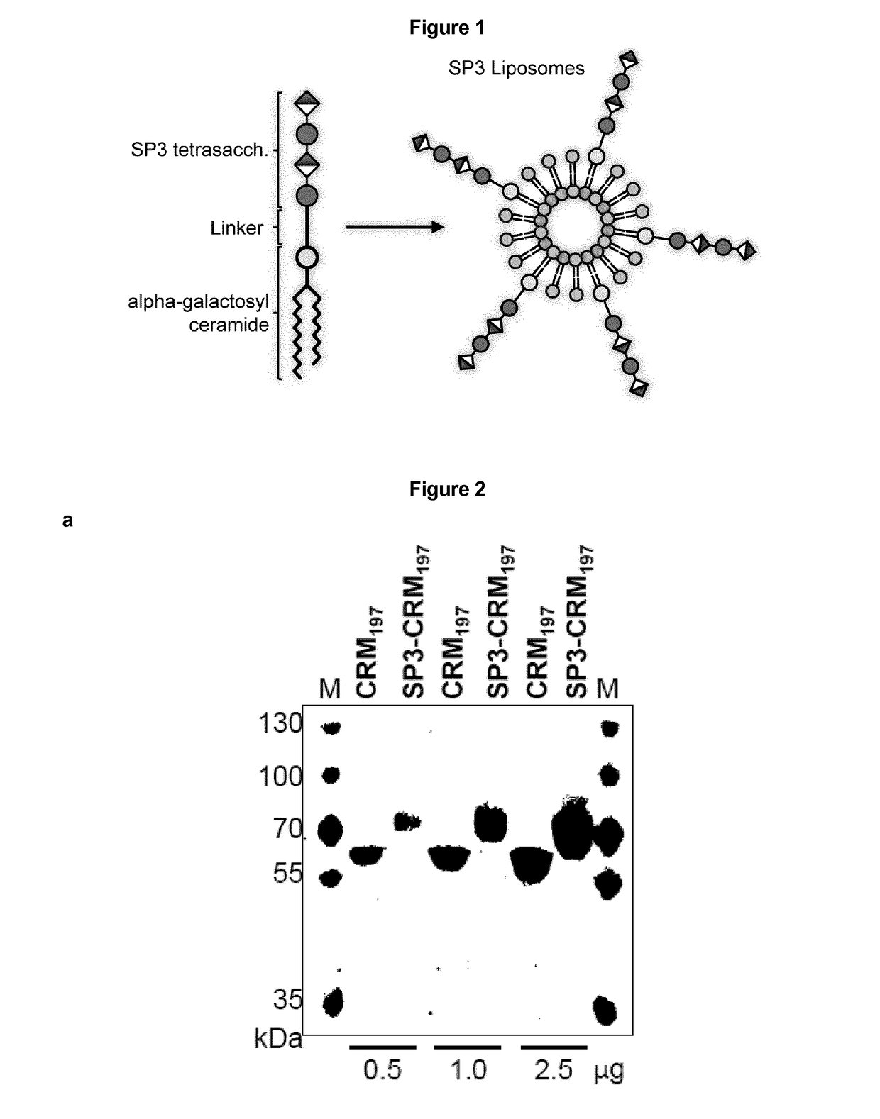 Protein and peptide-free synthetic vaccines against <i>Streptococcus pneumoniae </i>type 3
