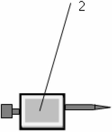 Ruler for measuring visual widths of teeth