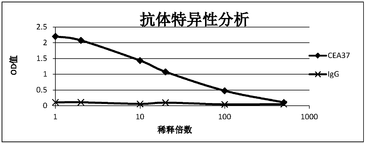 Anti-MG7-Ag monoclonal antibody of and application thereof